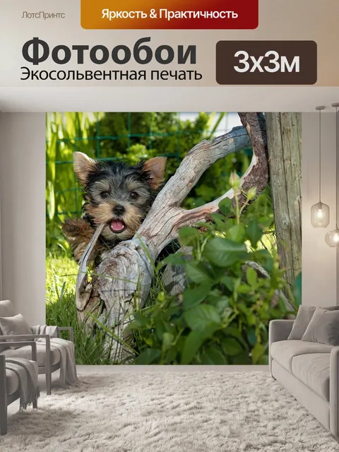 Фотообои Собака