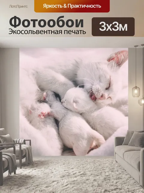 Фотообои Белый