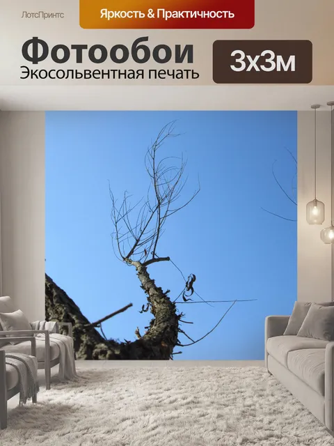 Фотообои Дерево Перспектива 34