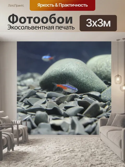 Фотообои Рыбы