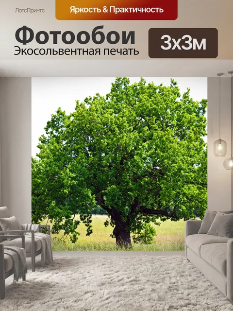 Фотообои Дерево