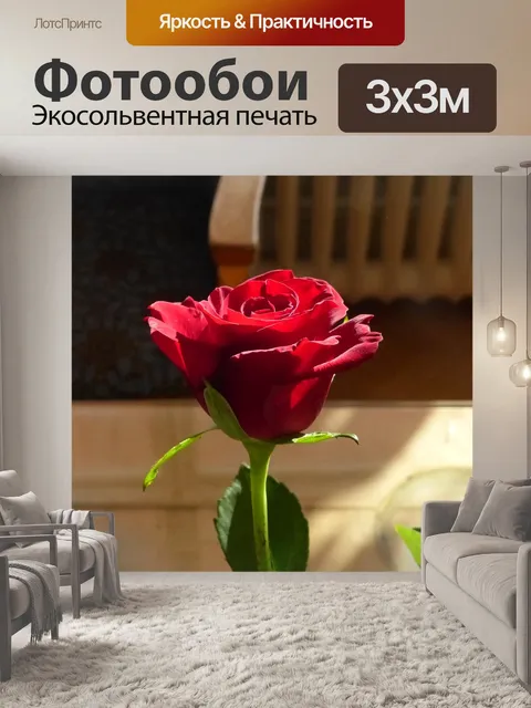 Фотообои Рось