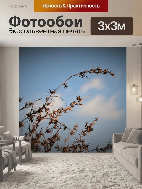 Фотообои красный трава на фоне неба