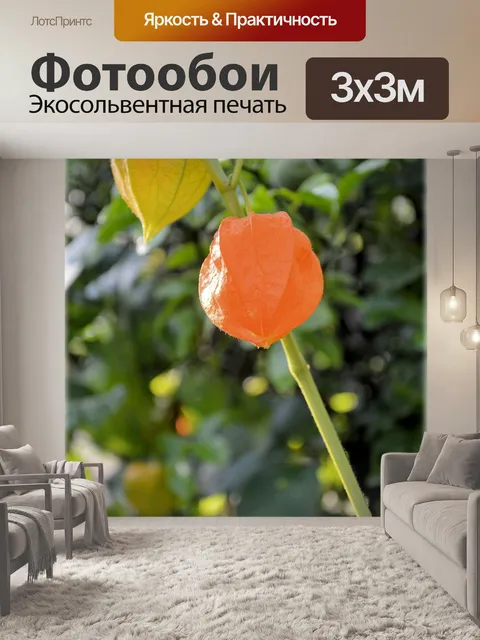 Фотообои Цветы 1,12