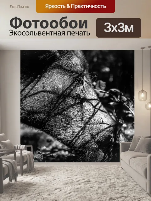 Фотообои Дикий