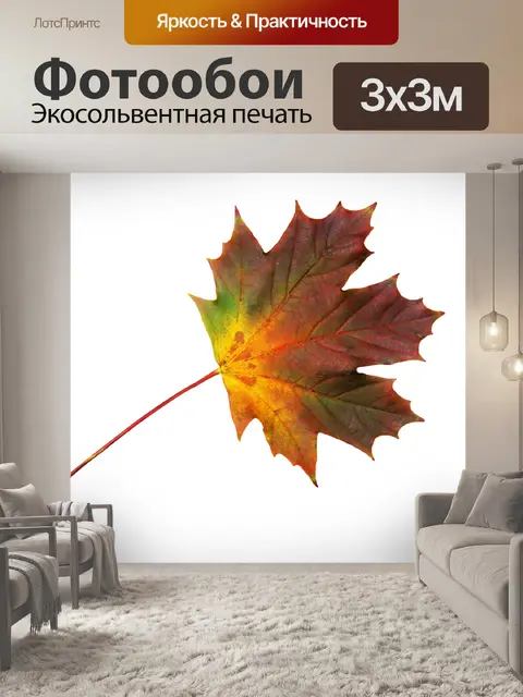 Фотообои Клен