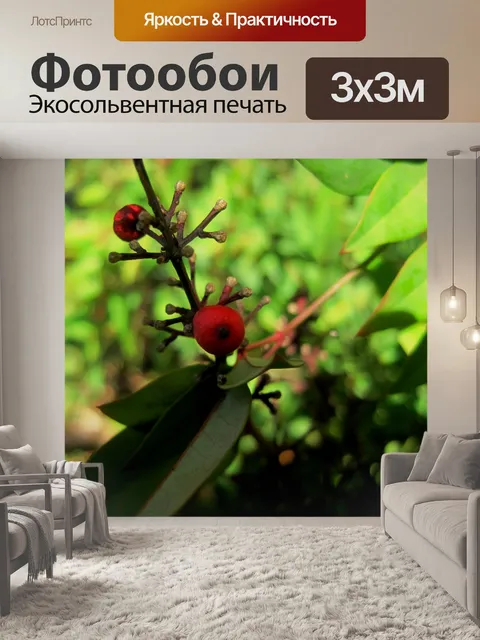 Фотообои ярко-красный ягода