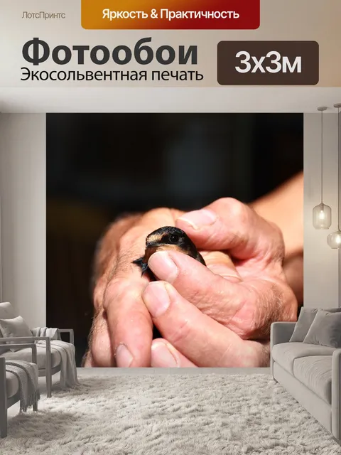 Фотообои Глотать