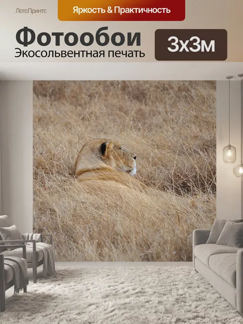 Фотообои Лев