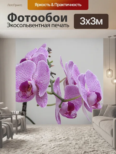 Фотообои Фиолетовая орхидея