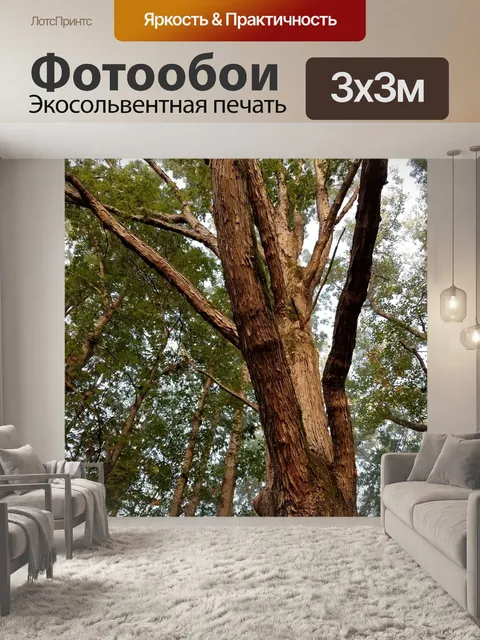 Фотообои Дерево