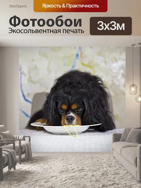 Фотообои Кавалер