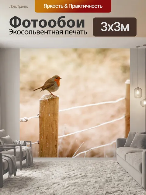Фотообои Робин зимой