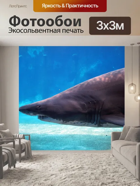 Фотообои рваный зуб акулы в аквариуме