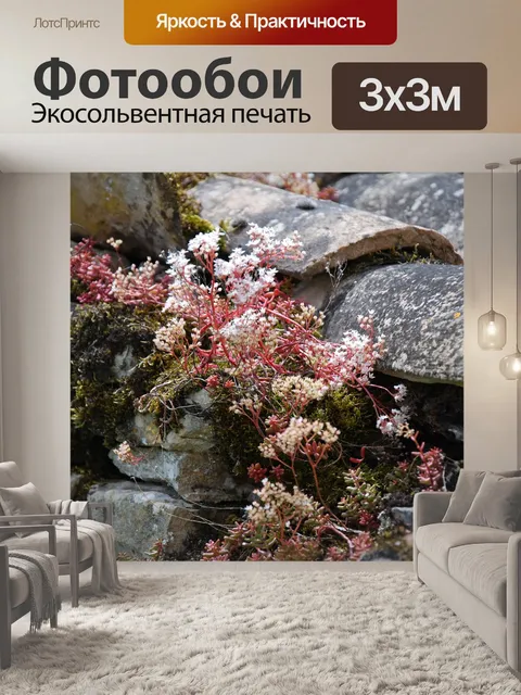 Фотообои Цветы