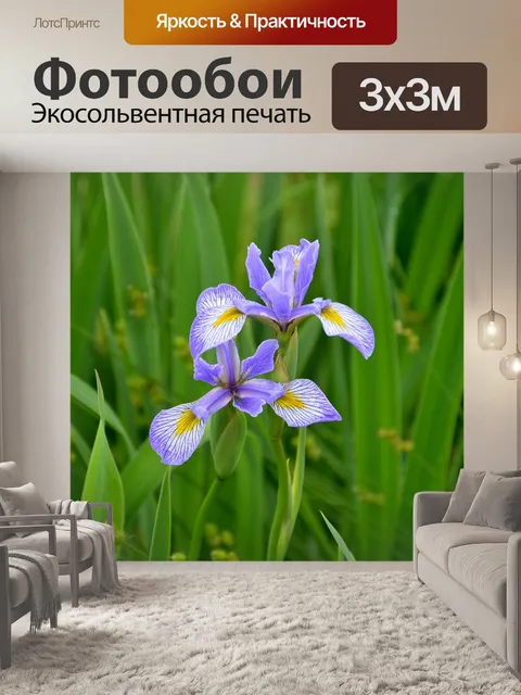 Фотообои Сад