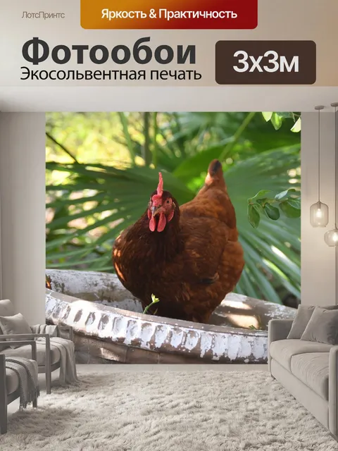 Фотообои Род-айленд красный