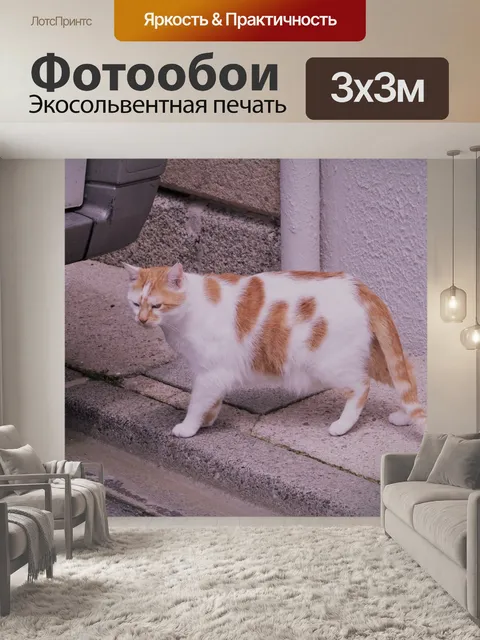Фотообои Белый и красный кот