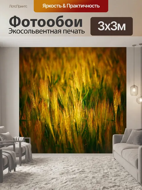 Фотообои Пшеница