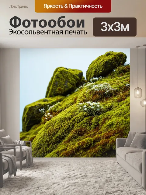 Фотообои огромные поросшие мшом камни