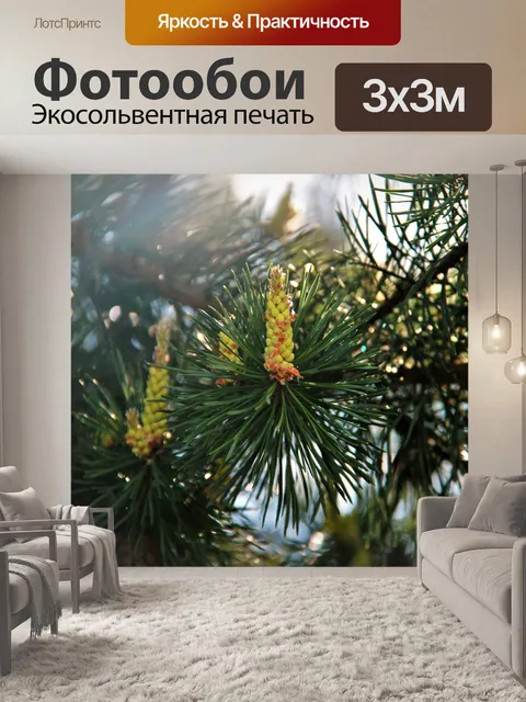 Фотообои Сосна