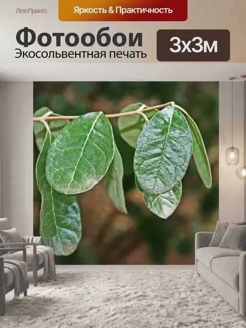 Фотообои зеленые листья на прутик