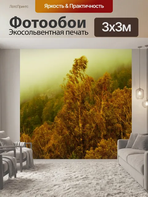 Фотообои Туман и лес