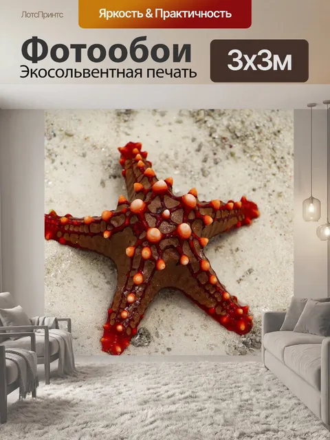 Фотообои морская звезда