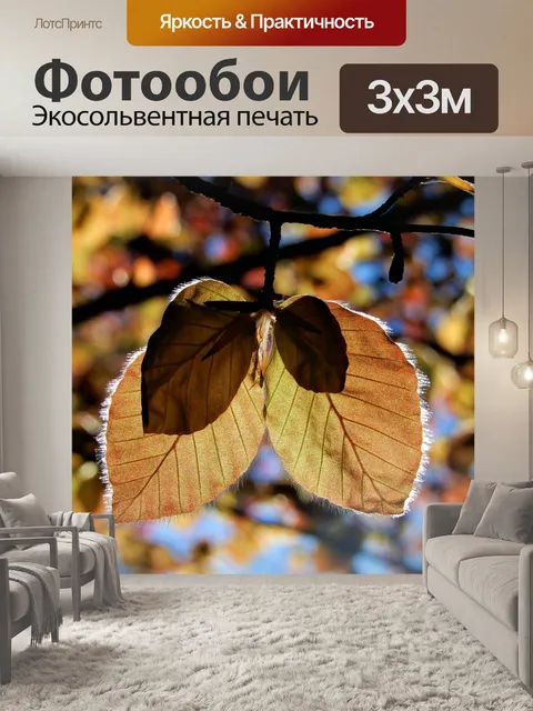 Фотообои Весна