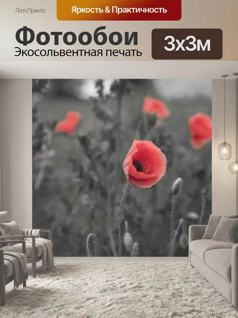 Фотообои Мак цветок