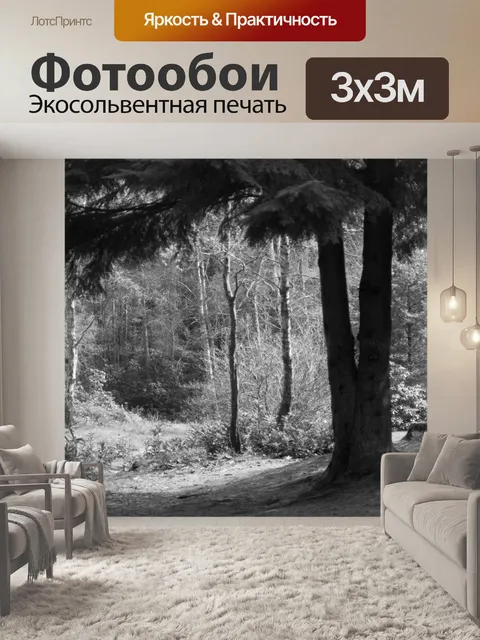 Фотообои Лесной черно-белая фотография