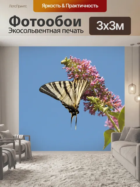 Фотообои Бабочка
