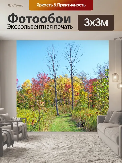 Фотообои Путь в поле