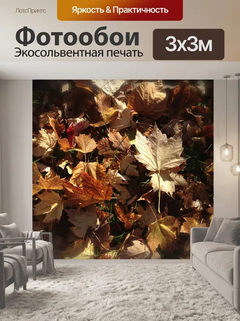 Фотообои Опавшие листья Натюрморт