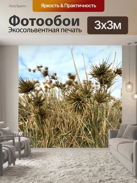 Фотообои Морская трава