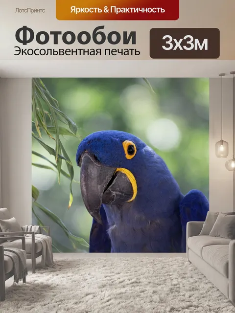Фотообои Попугай