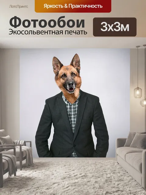 Фотообои Немецкая овчарка