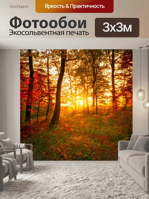 Фотообои закат в осеннем лесу