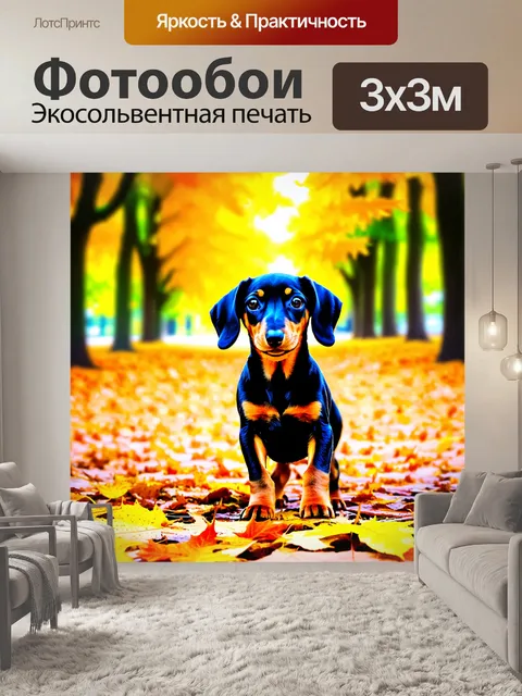 Фотообои щенок таксы-дапла, исследующий осенью парк, где желтые и оранжевые листья покрывают землю