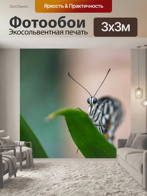 Фотообои Бабочка