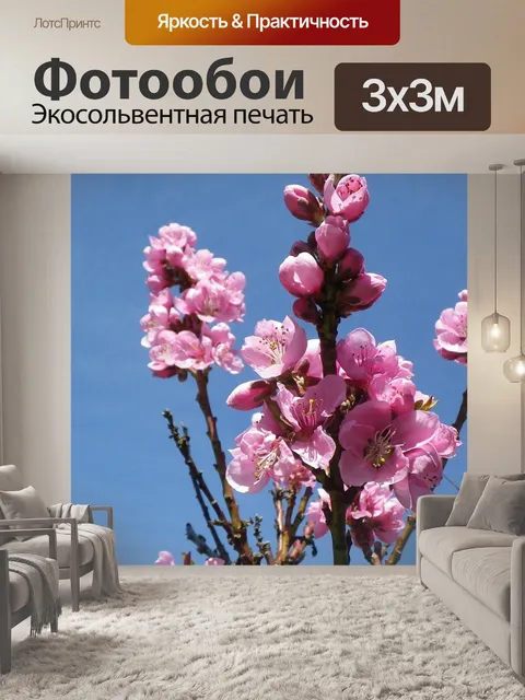 Фотообои Цветок