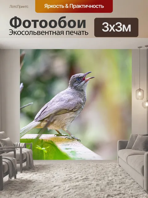 Фотообои Яркий цвет