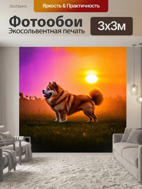 Фотообои чау-чау, играющий на фоне красочного заката, его силуэт выделяется на