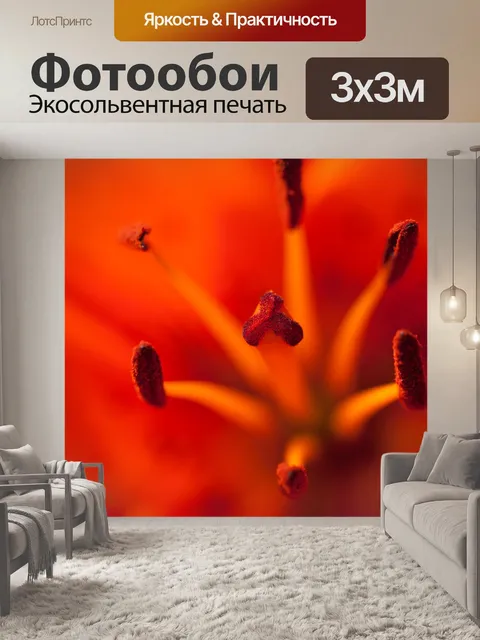 Фотообои Макрос лилия