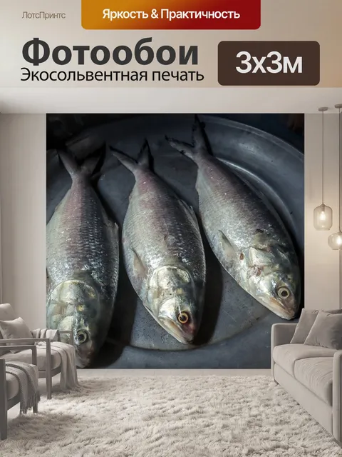 Фотообои Рыбы