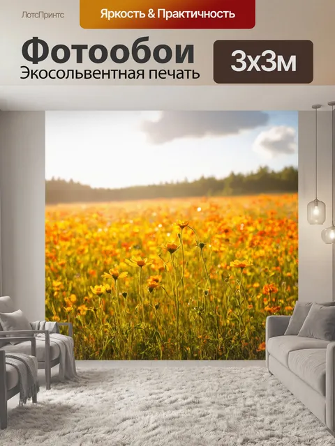 Фотообои поле, усыпанное яркими цветами, с высокими стеблями, колышущимися на ветру