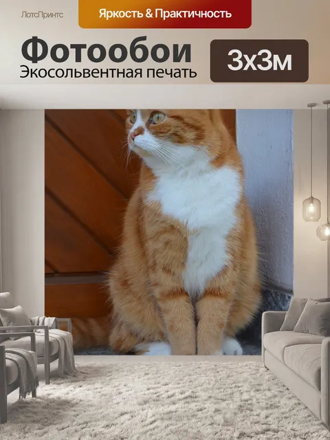 Фотообои Рыжая кошка.