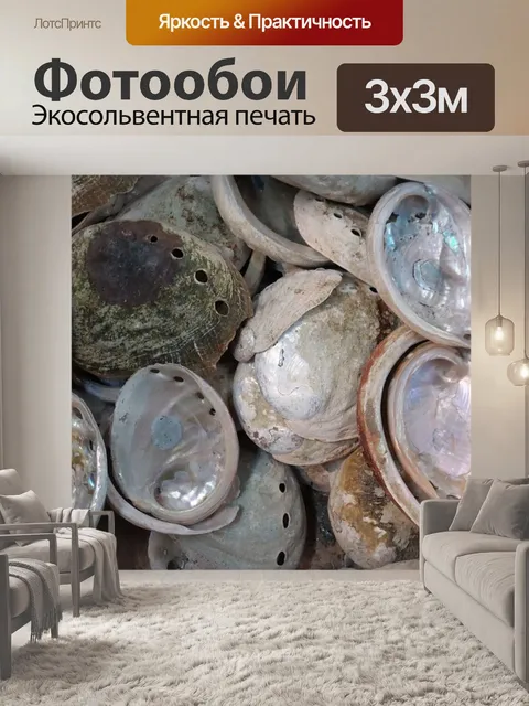Фотообои Фон раковины морского ушка