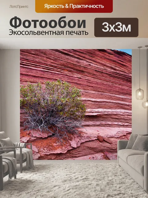 Фотообои Буш и слоев породы