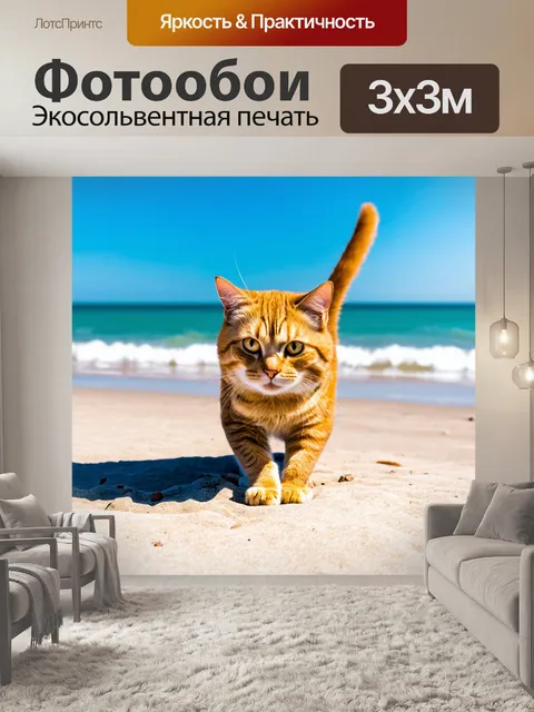 Фотообои кот, исследующий пляж под ярким солнечным светом